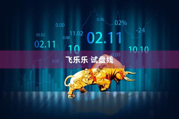 飞乐乐 试盘线