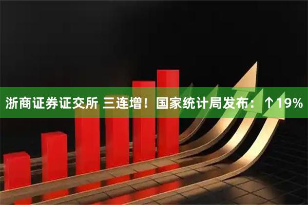 浙商证券证交所 三连增!国家统计局发布:↑19%